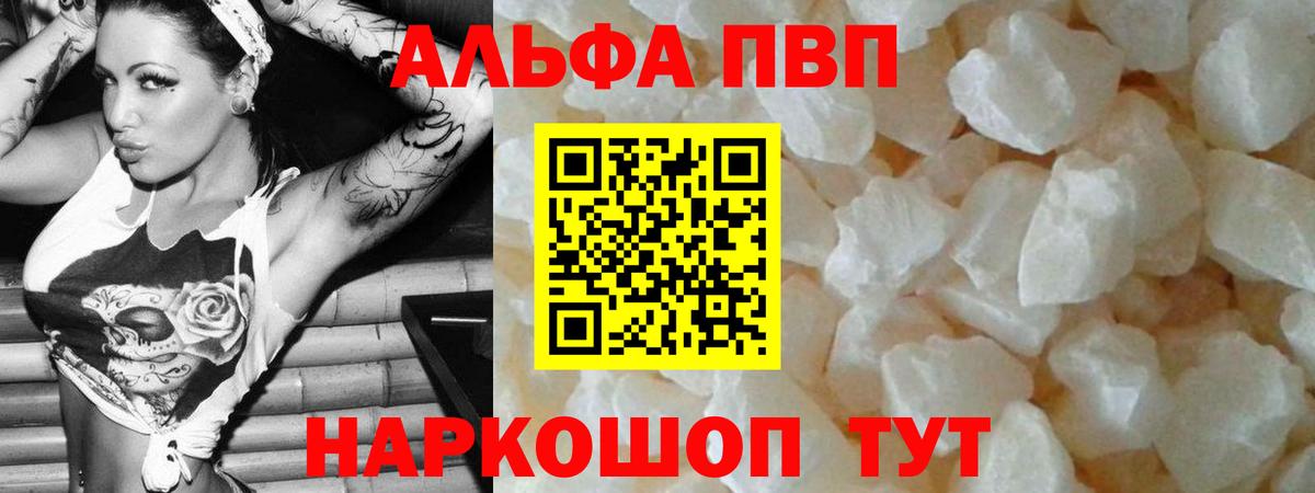 A PVP СК Калининград